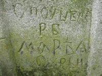 Wierzbica_438