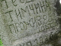Wierzbica_441