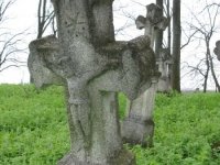 Wierzbica_442