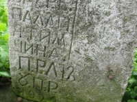 Wierzbica_443