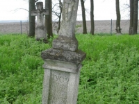 Wierzbica_444