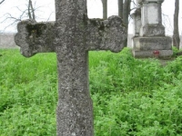 Wierzbica_446