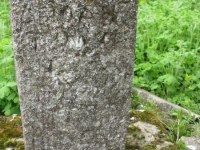 Wierzbica_447