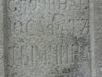 Wierzbica_449