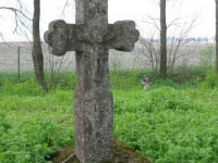 Wierzbica_452