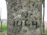 Wierzbica_453