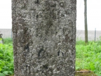 Wierzbica_454