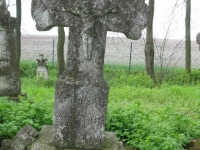 Wierzbica_455