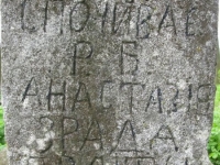 Wierzbica_456