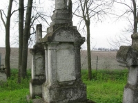 Wierzbica_457
