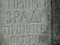 Wierzbica_458