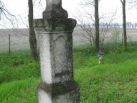 Wierzbica_459