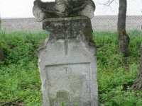 Wierzbica_463