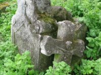 Wierzbica_467