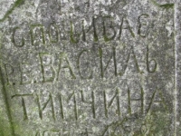 Wierzbica_468