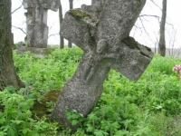 Wierzbica_469
