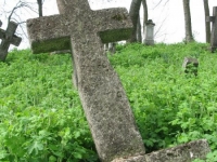 Wierzbica_473