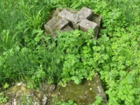 Wierzbica_474