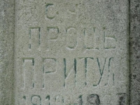 Wierzbica_476