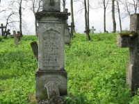 Wierzbica_478