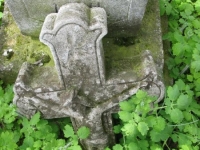 Wierzbica_479