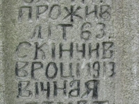 Wierzbica_480