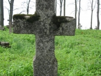 Wierzbica_481
