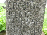 Wierzbica_482