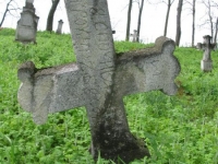 Wierzbica_483