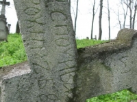 Wierzbica_484