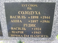 Wierzbica_486