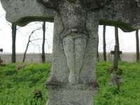Wierzbica_489