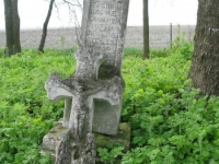 Wierzbica_493