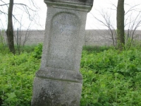 Wierzbica_495