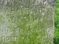 Wierzbica_498