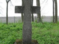 Wierzbica_499