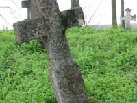 Wierzbica_500