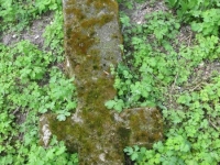 Wierzbica_501