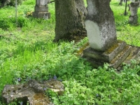 Wierzbica_506
