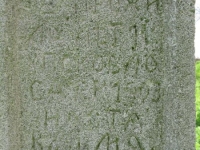 Wierzbica_512