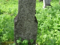 Wierzbica_514