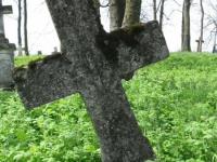 Wierzbica_515