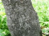 Wierzbica_516