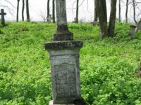 Wierzbica_517