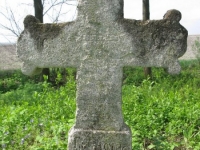 Wierzbica_520