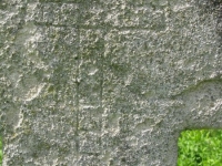 Wierzbica_521
