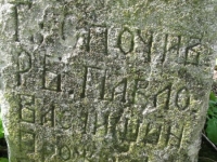 Wierzbica_522
