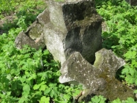 Wierzbica_523