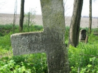 Wierzbica_524