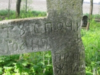 Wierzbica_525